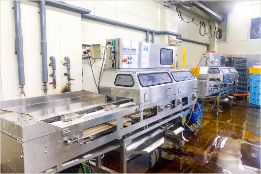 イカセパレーター